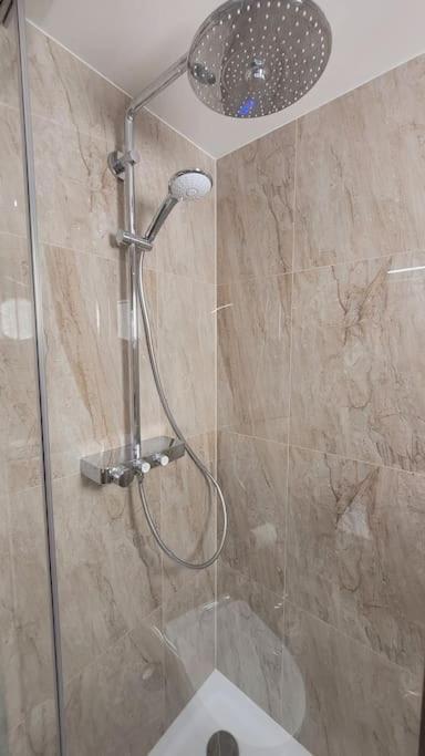 Luxusni Apartman Nedaleko Centra プラハ エクステリア 写真