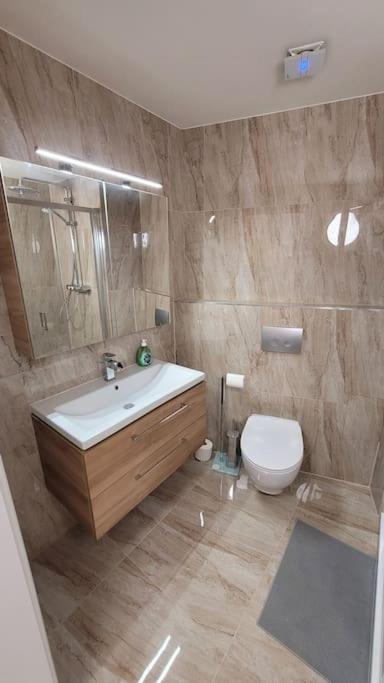 Luxusni Apartman Nedaleko Centra プラハ エクステリア 写真